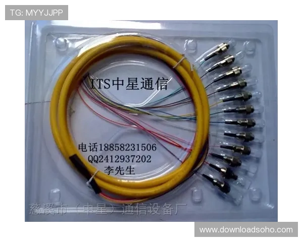 FC电子市场价格比较：不同品牌电子产品性价比全面评测