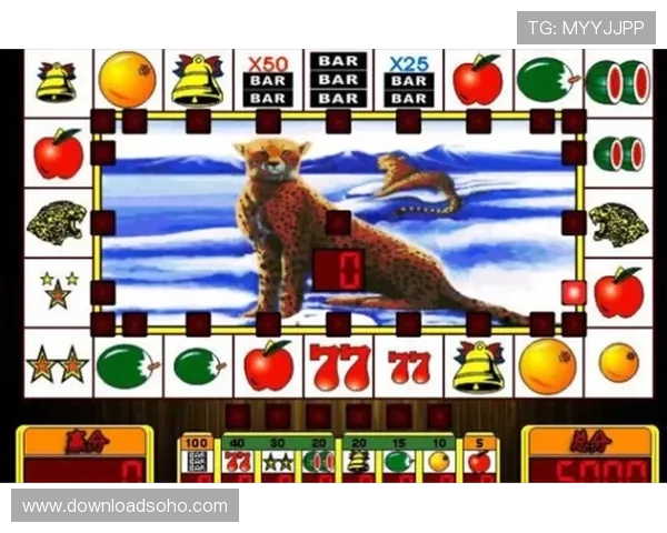 老虎机揭秘大公开：揭秘老虎机的奖金设置与奖励机制背后的秘密