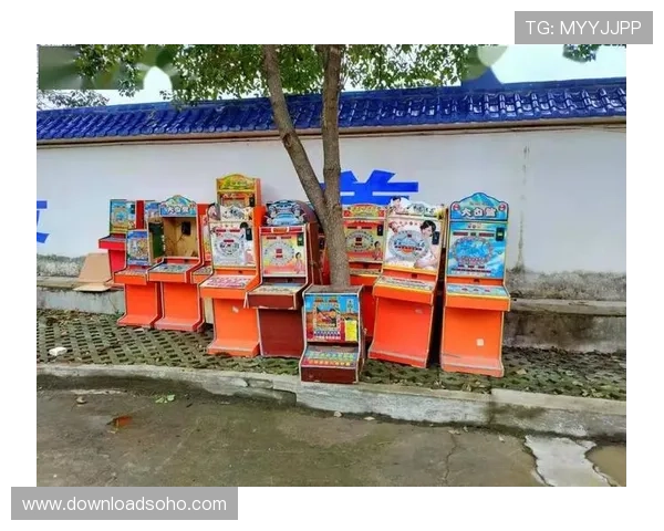 影响老虎机几率的因素有哪些以及玩家应如何合理利用